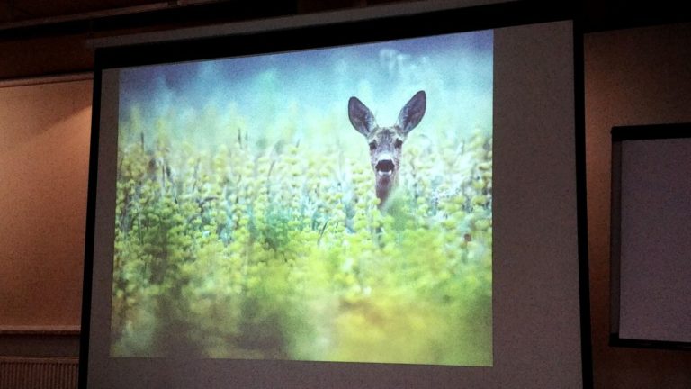 II Ogólnopolska Konferencja „Dzikie zwierzęta wśród nas”